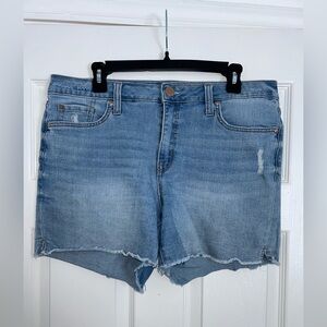 Seven Brand Stretchy Jean Shorts